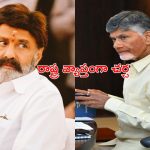 MLA Balayya: సీఎం చంద్రబాబుకు బాలయ్య విజ్ఞప్తి.. ఆయన స్పందించేనా?