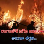 Greece Wildfires: శరవేగంగా దూసుకొస్తున్న కార్చిచ్చు.. గజగజ వణుకుతున్న నాగరవాసులు