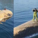 Viral Video: చనిపోయిన భారీ తిమింగలంపై డ్యాన్స్ చేస్తూ వెకిలి చేష్టలు.. వైరల్ అవుతున్న వీడియో