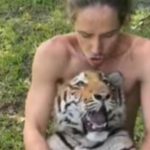 Rubbing Tiger’s Belly: పులికి బెల్లీ మసాజ్ చేయడం ఎప్పుడైనా చూశారా.. ఈ వీడియో చూస్తే షాక్ అవుతారు