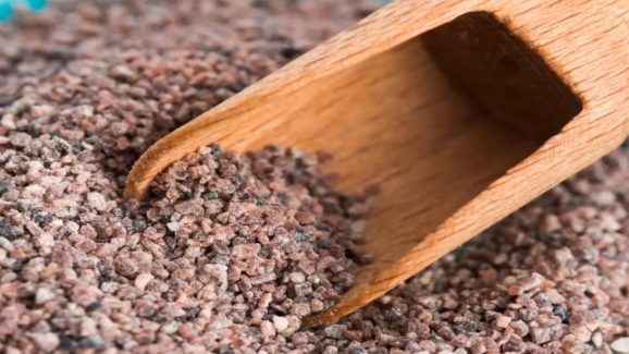 Black Salt: ఉదయాన్నే దీనిని నీటిలో కలుపుకుని తాగితే బ్లడ్ షుగర్ నార్మల్ అవుతుంది..!