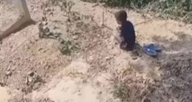 Viral Video: పాపం పసివాడు.. తల్లి  సమాధి వద్ద బోరున విలపిస్తున్న వీడియో వైరల్