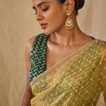 Hebah Patel: శారీలో అబ్బా అనిపించిన హెబ్బాపటేల్.. ఫొటోలు భలే ఉన్నాయ్