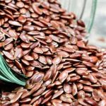 Flax Seeds Benefits : ప్రతీ రోజూ వీటిని రెండు స్పూన్లు తీసుకుంటే శరీరంలో ఊహించని మ్యాజిక్ చూస్తారు..