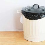 Vastu Tips for Dustbin: ఇంట్లో ఎక్కడ పడితే అక్కడ డస్ట్‌బిన్ పెడుతున్నారా.. పేదరికం మిమ్మల్ని చుట్టుముడుతుంది జాగ్రత్త..!
