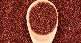 Finger Millet Benefits: రాగులతో ఈ అనారోగ్య సమస్యలు పరార్ !