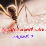 Rare Mosquito Disease: దోమల వల్ల ప్రతి ముగ్గురిలో ఒకరు మృతి.. మనమూ జాగ్రత్తగా ఉండాల్సిందేనా ?