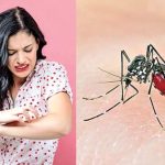 Mosquitoes Bite: దోమలు కొంత మందినే ఎందుకు కుడతాయి..? కారణం తెలిస్తే షాక్ అవుతారు..!