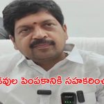 Minister Kollu Ravindra: శుభవార్త.. ఏపీలో ఆక్వా, మెరైన్ ఫిషింగ్ వర్సిటీ ఏర్పాటు..?