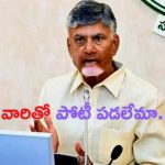 CM Chandrababu: వారితో పోటీ పడలేమా ? : సీఎం చంద్రబాబు