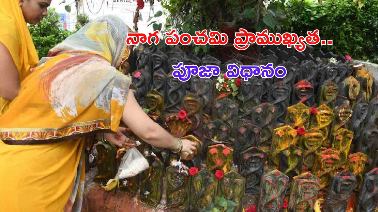 Nag Panchami 2024: నాగపంచమి ఎప్పుడు ? ప్రాముఖ్యత, పూజా విధానం..