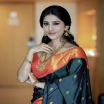 Nabha Natesh In Saree| ఇస్మార్ట్ బ్యూటీ నభా నతేష్.. చీరకట్టులో ఎంత అందంగా ఉందో!..