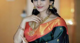 Nabha Natesh In Saree| ఇస్మార్ట్ బ్యూటీ నభా నతేష్.. చీరకట్టులో ఎంత అందంగా ఉందో!..