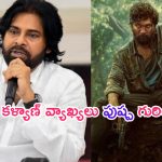 Pawan Kalyan: పవన్ కళ్యాణ్ అన్నది అల్లు అర్జున్ గురించేనా..!