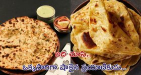 Plastic wire in Train Meal: పరాటాలో ప్లాస్టిక్ వైర్.. రూ. 10 లక్షల జరిమానా !