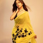 Anu Emannuel: శారీలో అందాలు ఆరబోస్తున్న.. అను ఇమ్మాన్యుయేల్