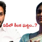 Sharmila: బిగ్ బ్రేకింగ్ న్యూస్.. కాంగ్రెస్ పార్టీలో వైసీపీ విలీనం?