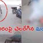 Student Died in Kadapa: కడపలో తీవ్ర విషాదం.. సైకిల్‌పై బడికి వెళ్తుండగా మీద పడిన విద్యుత్ తీగలు.. విద్యార్థి మృతి