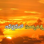Sell Sunlight: వార్ని, ఈ సంస్థ ఏకంగా సూర్యుడి కాంతినే అమ్మేస్తుందట.. రాత్రి వేళ ‘సన్ లైట్’ ఎలా సాధ్యం?