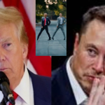 AI video of Elon Musk, Trump: నడి రోడ్డుపై ట్రంప్, మస్క్ డ్యాన్సులతో అదరగొట్టారు