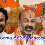 Telangana BJP: తెలంగాణ బీజేపీలో విభేదాలు.. రాష్ట్ర అధ్యక్ష పదవికి.. కొత్త నేతలకు అర్హత లేదా..?