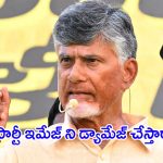 CM Chandrababu: చంద్రబాబుకి తలనొప్పిగా మారిన.. తెలుగు తమ్ముళ్లు
