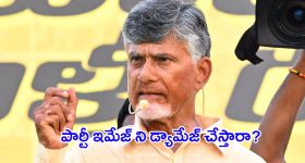 CM Chandrababu: చంద్రబాబుకి తలనొప్పిగా మారిన.. తెలుగు తమ్ముళ్లు