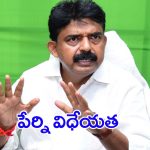 Perni Nani: మాజీ మంత్రి పేర్ని నాని.. ఫ్యూచర్ ఏంటి ?