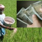 Farm Loans: రైతుల సొమ్ము.. రాబందుల పాలు.. వ్యవసాయ సొసైటీల్లో అవినీతి తిమింగలాలు