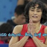 Vinesh Phogat Verdict: వినేశ్ కేసులో వీడని ఉత్కంఠ.. తీర్పు మళ్లీ వాయిదా