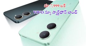 Viral Video: ఇంత పెద్ద వంకాయను ఎప్పుడైనా చూశారా.. గిన్నిస్ రికార్డులోకి ఎక్కేసింది తెలుసా