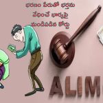 Wife Demands Alimony: భర్త నుంచి ప్రతినెలా రూ.6 లక్షలు భరణం డిమాండ్ చేసిన మహిళ.. మండిపడిన కోర్టు!