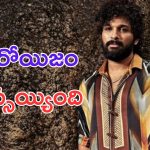 Allu Arjun: బాలీవుడ్ ను కూడా వదలని బన్నీ.. ఆ మాట అని వివాదం తెచ్చాడా.. ?