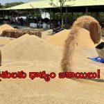 AP Government: రైతులకు గుడ్ న్యూస్.. కాసేపట్లో ధ్యానం బకాయిలు విడుదల