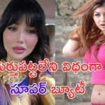 Ayesha Takia: సూపర్ బ్యూటీ గుర్తుందా.. ఇప్పుడు అస్సలు గుర్తుపట్టలేరు చూడండి