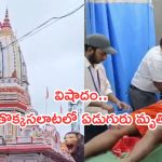 Bihar Temple Incident: ఆలయంలో ఘోర విషాదం. తొక్కిసలాటలో ఏడుగురు భక్తులు మృతి