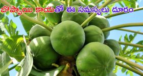 Raw Papaya Benefits: బొప్పాయితో బోలెడు ప్రయోజనాలు.. ఈ సమస్యలకు చెక్