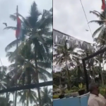 Viral Video: నిజంగానే జాతీయ జెండాను ఆ పక్షి ఆవిష్కరించిందా? నిజం ఇదే