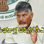 CM Chandrababu: గుడ్ న్యూస్ చెప్పిన ఏపీ సర్కార్.. ఒక్కరోజు ముందే నగదు పంపిణీ