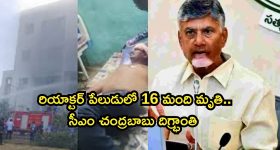 Achyutapuram Sez Blast: పెను విషాదం.. రియాక్టర్ పేలుడులో 16కు పెరిగిన మృతుల సంఖ్య..సీఎం దిగ్భ్రాంతి