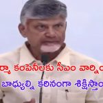Cm Chandrababu : ప్రాణాలతో చెలగాటమా ? రెడ్ కేటగిరీ ఇండస్ట్రీలకు సీఎం చంద్రబాబు వార్నింగ్..