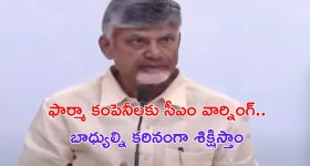 Sugandha Pala Plant Root: ఈ వేర్లతో కషాయం చేసుకుని తాగితే కీళ్ల నొప్పులు ఇట్టే మాయం అవుతాయి