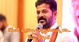 CM Revanth Reddy: అధికారం పోయినా బలుపు తగ్గలేదు.. సీఎం రేవంత్ రెడ్డి