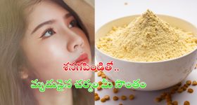 Paris Paralympics: పారిస్ పారాలింపిక్స్ లో భారత్ కు 4 పతకాలు.. ఒక బంగారు, ఒక సిల్వర్, రెండు కాంస్యం..