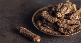 Sugandha Pala Plant Root: ఈ వేర్లతో కషాయం చేసుకుని తాగితే కీళ్ల నొప్పులు ఇట్టే మాయం అవుతాయి