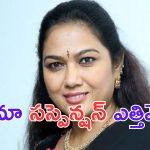 Actress Hema:హేమకు రిలీఫ్.. మా సస్పెన్షన్ ఎత్తివేత