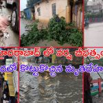 Telangana Weather: హైదరాబాద్ కు రెడ్ అలర్ట్.. మళ్లీ క్లౌడ్ బరస్ట్ ?