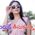 Imanvi: ప్రభాస్ సరసన ఇమాన్వినే ఎందుకు.. హను ఏమన్నాడంటే.. ?