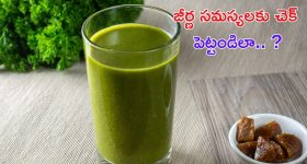 Healthy Drinks: ఈ డ్రింక్స్‌తో జీర్ణ సమస్యలు మాయం