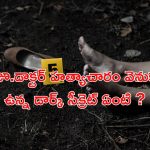 Kolkata Doctor Case: కోల్ కతా జూనియర్ డాక్టర్ హత్యాచారం వెనుక కుట్రకోణం.. అందుకే చంపేశారా ?